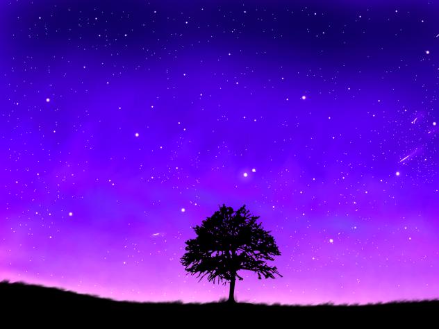 Lonely tree - ibisPaint
