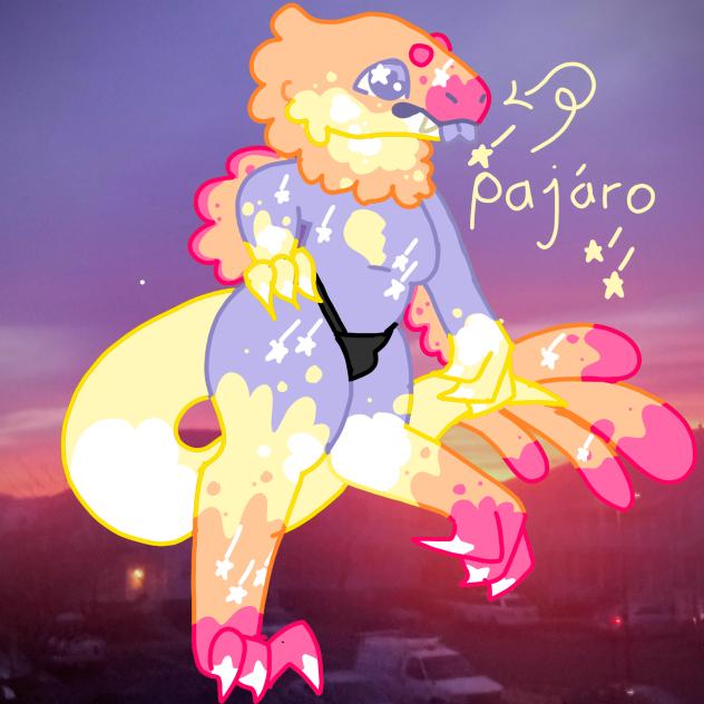 Pajáro!!