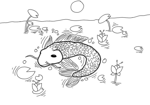 color the koi fish!