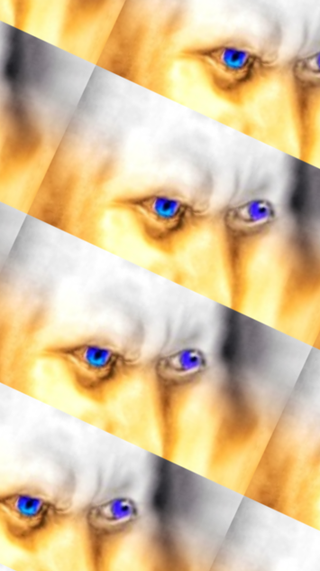 interface Joe eyes multiple gold