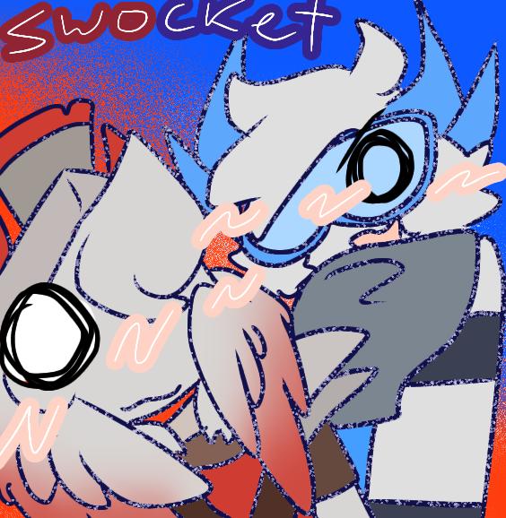 Swocket