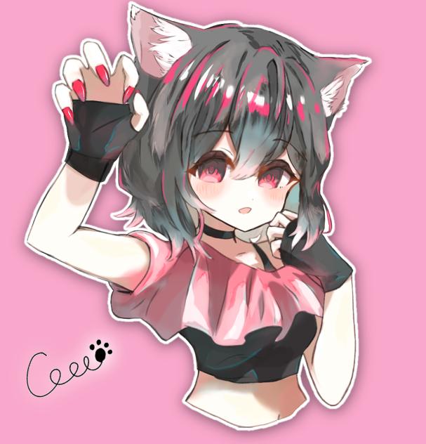 cat＆catch