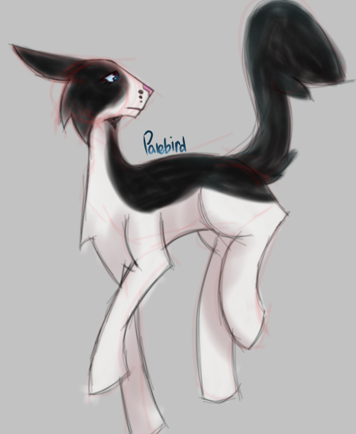 palebird