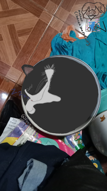 Cat sleeping in da big cup