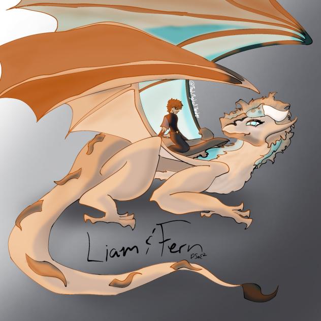 Liam and Fern — DSoE2