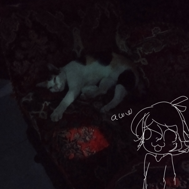 My cat sleeping on my chair❤