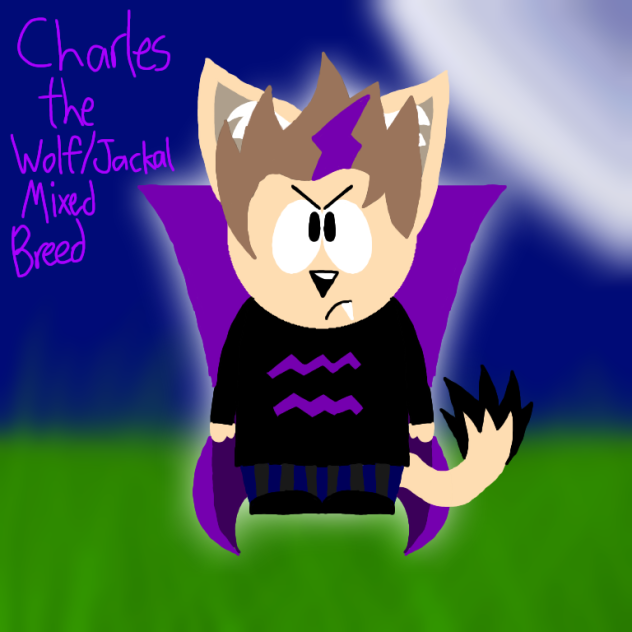 Charles the Wolf-Jackal Mixed Breed