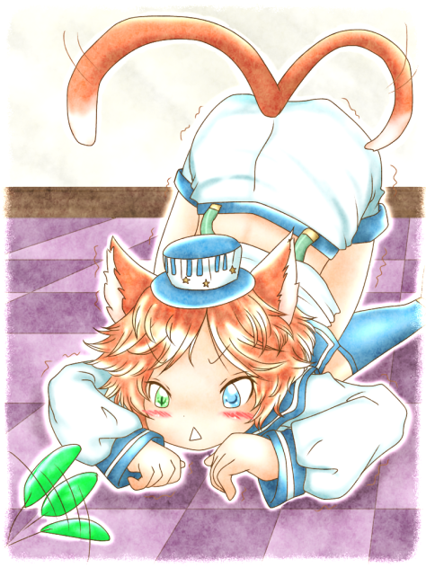 猫の本能