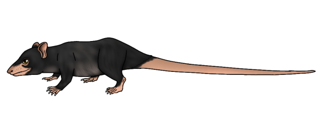 Black Murio render