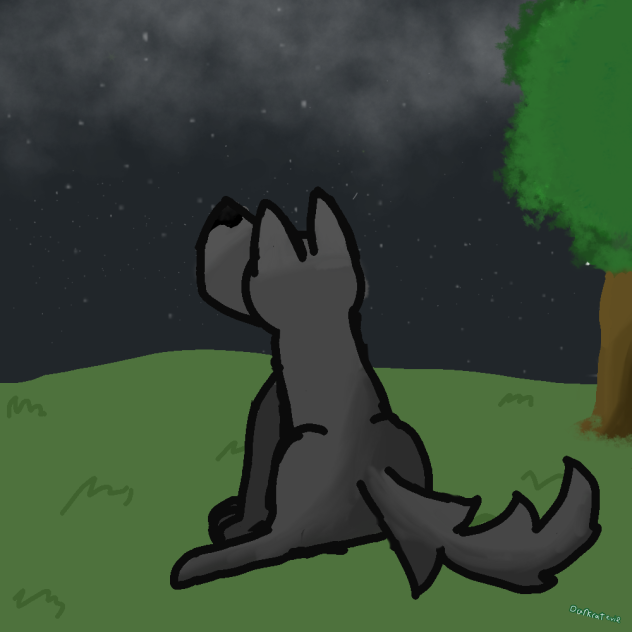 wolf