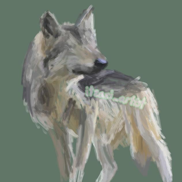 IM THE ALPHA IM THE LEADER IM THE (idk)