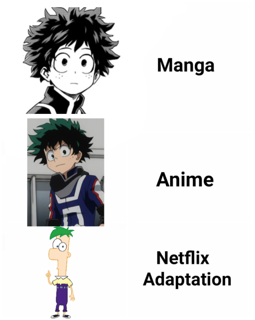 Netflix adaptation meme