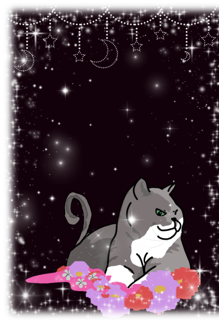 Mr. Whiskers