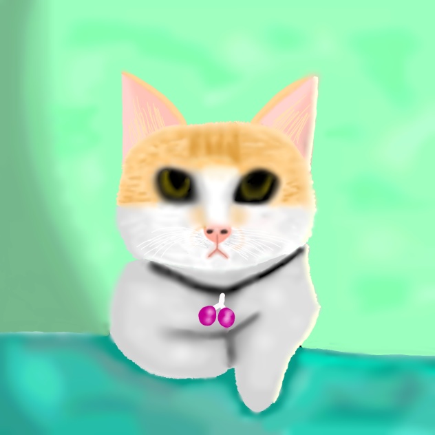 Molly the cat