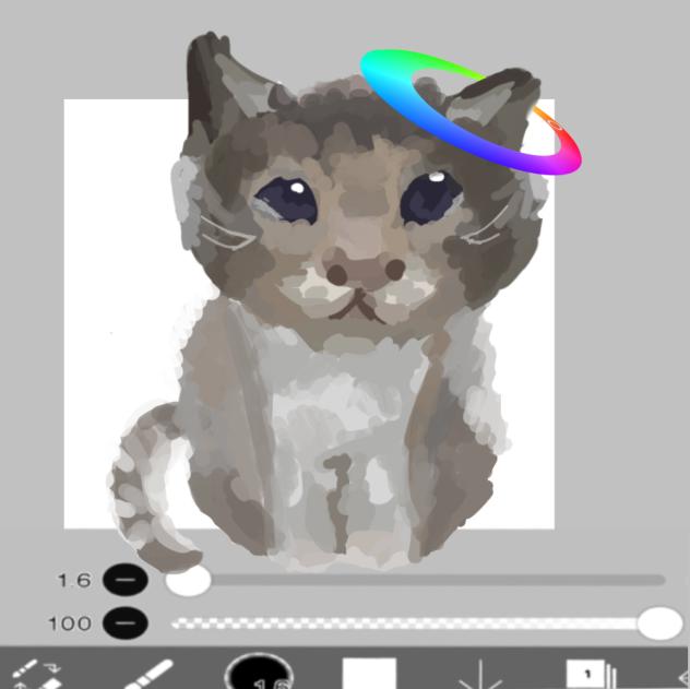 CATT😝😝