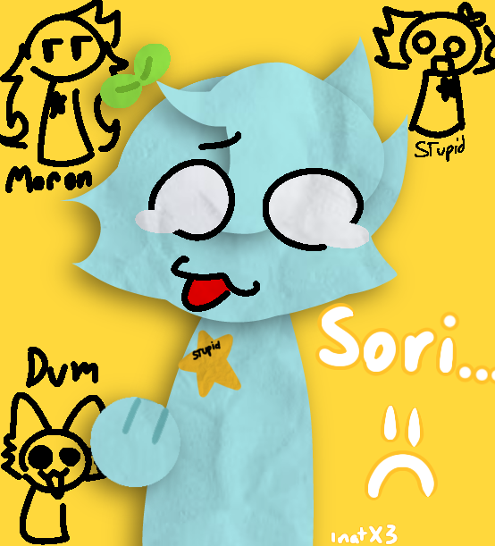 stupid is sorry