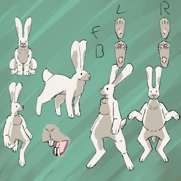Bunny boy