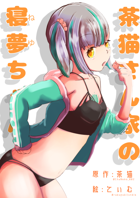 茶猫さんちの寝夢ちゃん