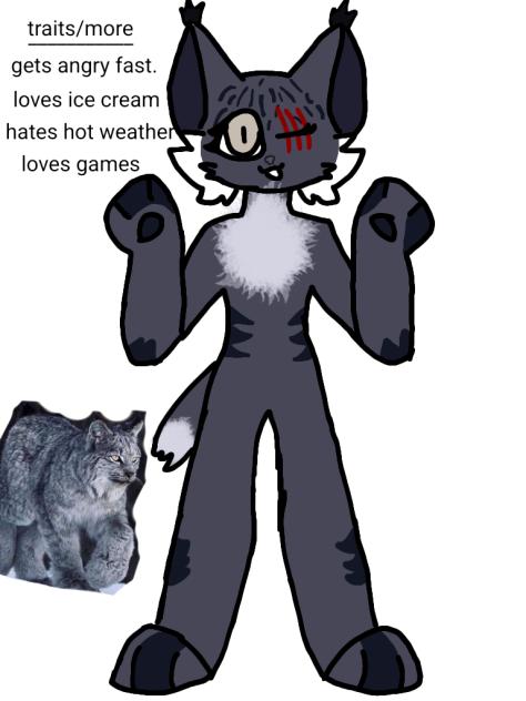 new one again - ibisPaint