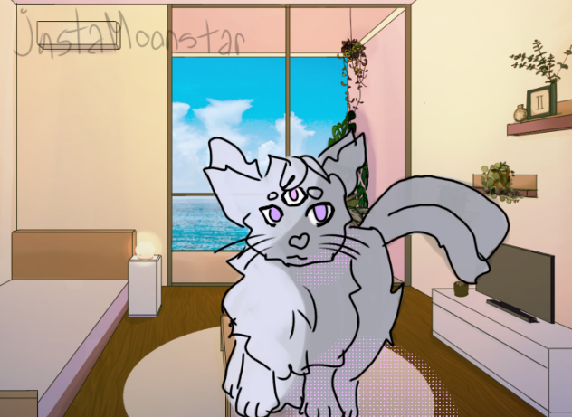 cat 🥰🥰