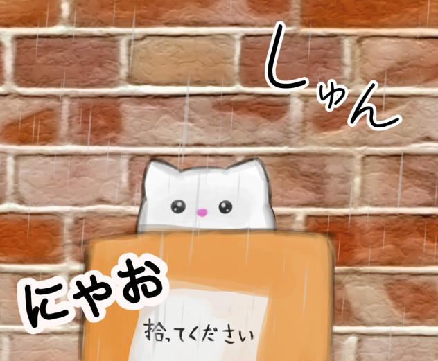 捨て猫
