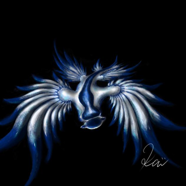 アオミノウミウシ　Glaucus atlanticus(blue dragon)
