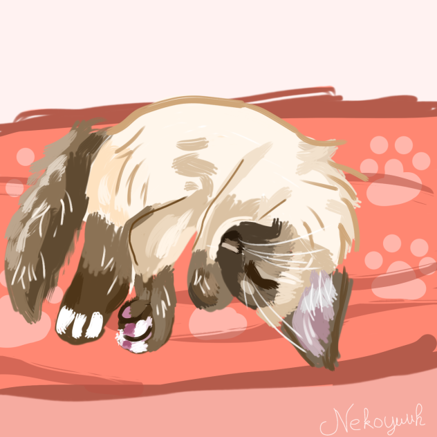 Siamese Cat Nekoyuuh
