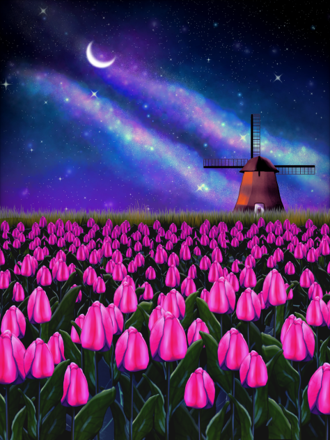 Tulip field (starry night)