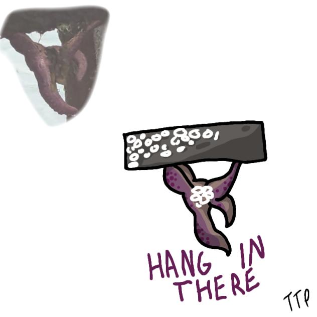 like a sticker thing