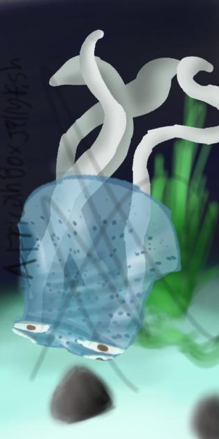 Southern African Box Jellyfish Art✨️✨️✨️