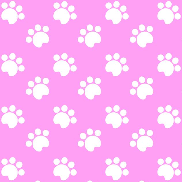Puppy feet wallpaper