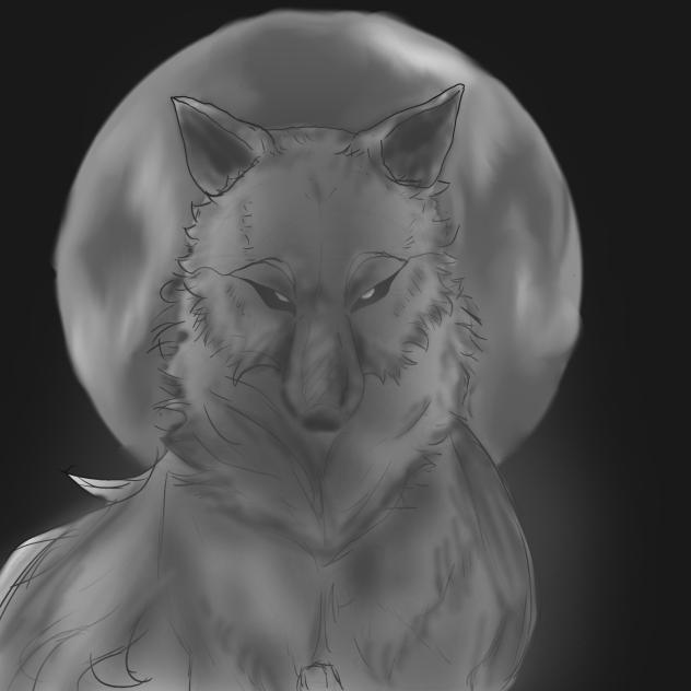 wolf - ibisPaint