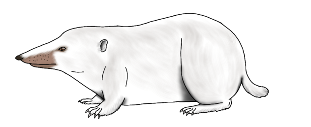 Snowy Short-tail Shrew render