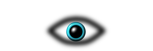 The eye
