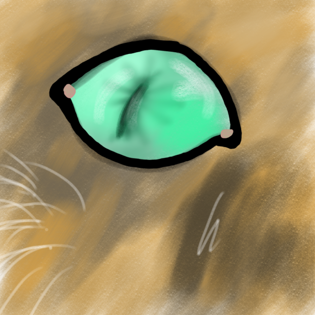Some Random Cat Eye Sketch. (Literally.)
