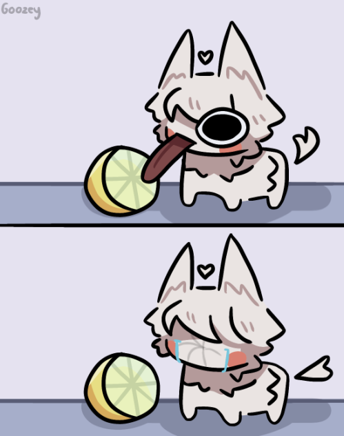 Dog and lemon