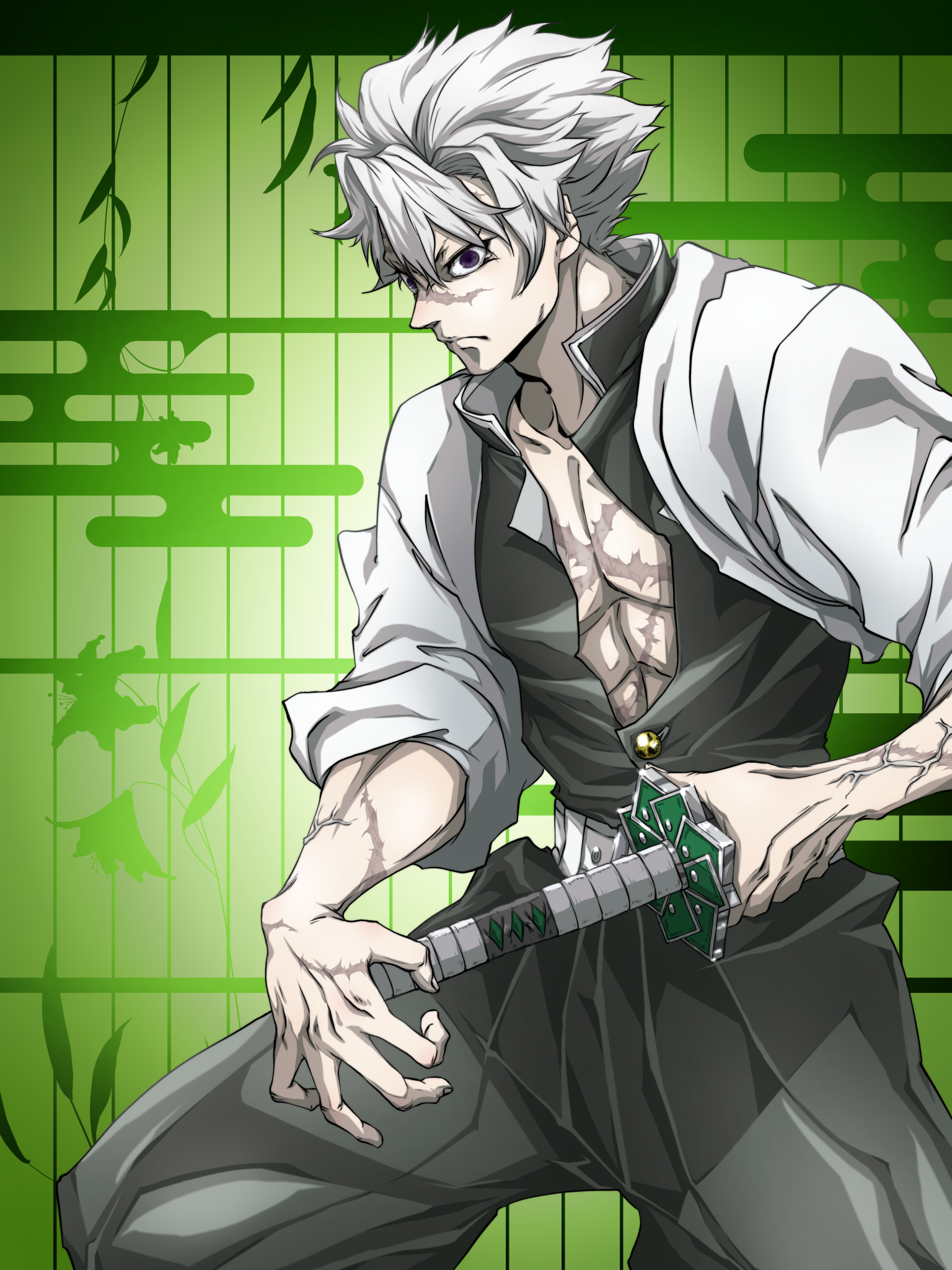 不死川 実弥 Shinazugawa Sanemi - ibisPaint