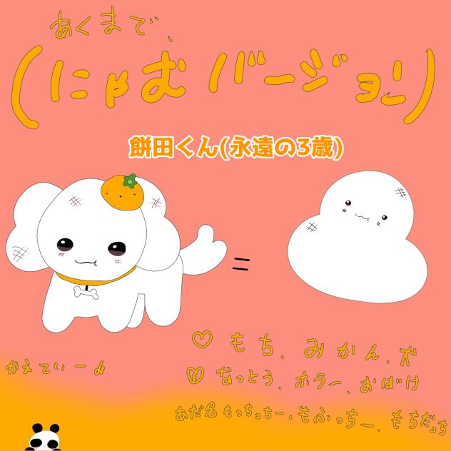 きなこへ3