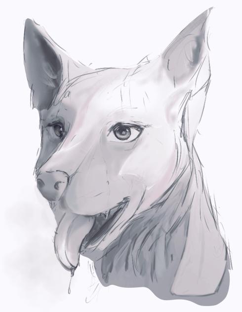 犬