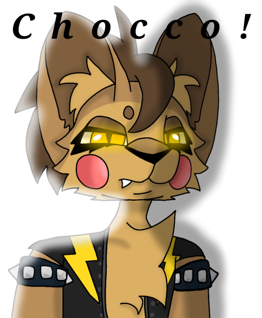Chocco the Cat!