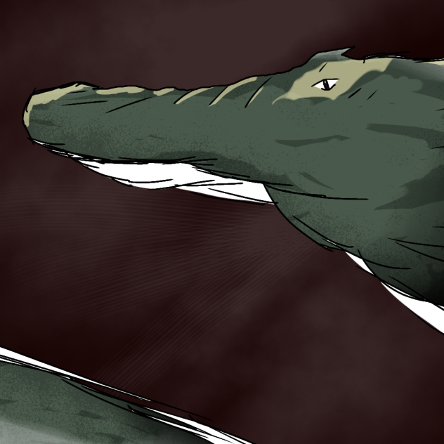 Alligator 🐊