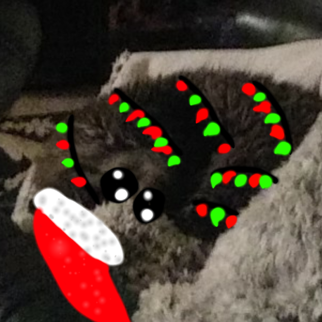 CHRISTMAS CAT