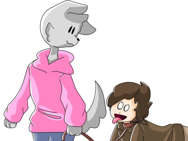 A dog taking a human out for a walk 👍