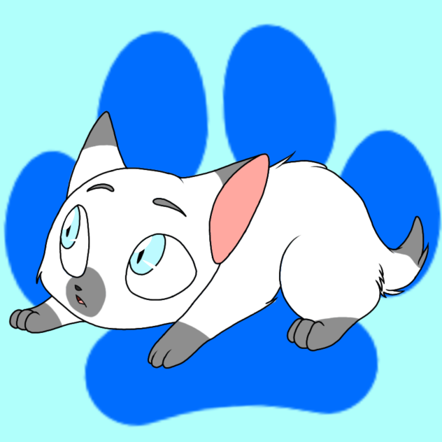 IceHeart as a kitten