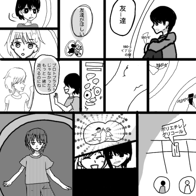 植物細胞の細胞融合
