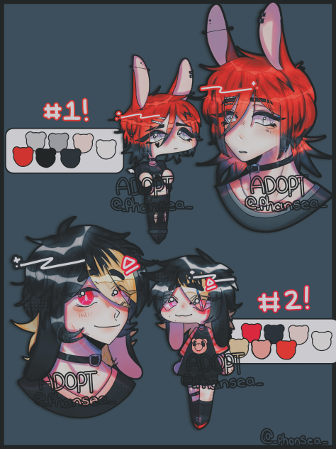 🐰Rabbit adopts🐰