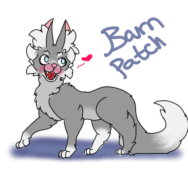 BarnPatch (warriors)