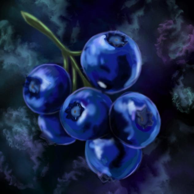 🫐blueberry 🫐