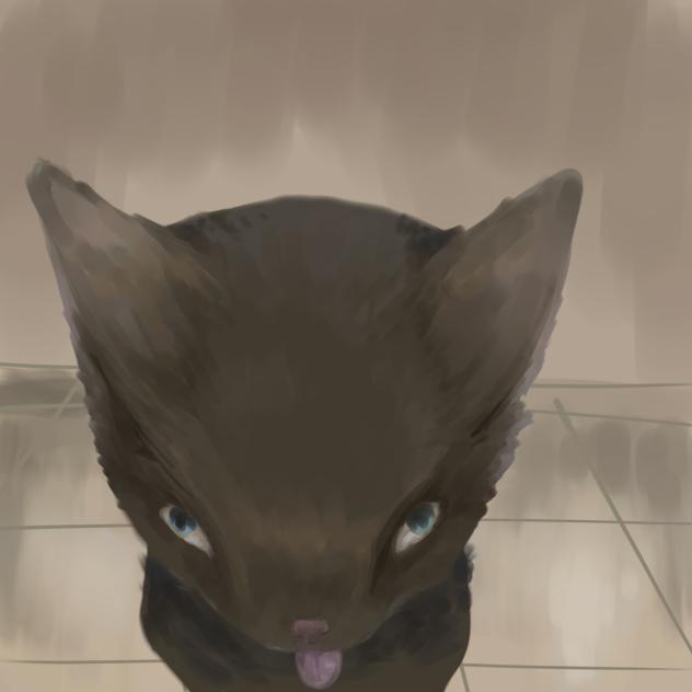 freaky ahh cat