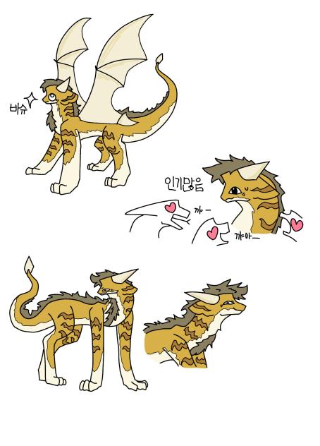 바슈♡